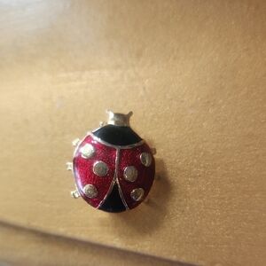 Red and Black Ladybug Brooch